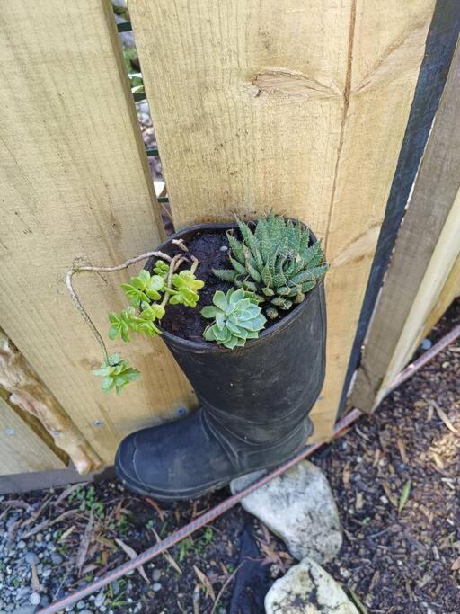 Gumboot Paradise Eco Stay Barrytown Eksteriør billede